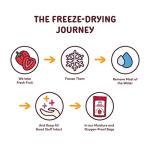 NATIERRA Organic Freeze-Dried Bananas USDA Certified Organic, Vegan & Non-GMO 2.5 Ounce (Pack of 1)