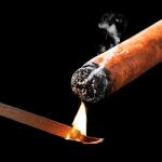 Woho 120 Packs Spanish Cedar Cigar Lighter Cedar Wood Spills Strips Sticks, Cigar Matches for Cigar Lighting, Pipe Smoking Accessories and Humidor for Tupperdor Cigar Box Tray Jar and Case(0.01"Thick)