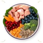 ULTIMATE PET NUTRITION Nutra Complete, 100% Freeze Dried Veterinarian Formulated Raw Dog Food with Antioxidants Prebiotics and Amino Acids, (1 Pound, Pork)