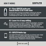 GOFILTR Magnesium Alkaline Water Infuser (2 Pack) 9.5 pH + Electrolytes for Any Water Bottle/Small Pitcher, 750 Refills / 3 Months, 2 Ionized Mineral Water Infusers