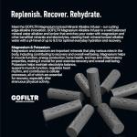 GOFILTR Magnesium Alkaline Water Infuser (2 Pack) 9.5 pH + Electrolytes for Any Water Bottle/Small Pitcher, 750 Refills / 3 Months, 2 Ionized Mineral Water Infusers