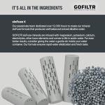 GOFILTR Magnesium Alkaline Water Infuser (2 Pack) 9.5 pH + Electrolytes for Any Water Bottle/Small Pitcher, 750 Refills / 3 Months, 2 Ionized Mineral Water Infusers