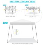 Oneofics Canopy Tent, 10X10 FT Pop Up Canopy Outdoor Instant Tent Slant Legs with Carrying Bag, Portable Gazebo Shelter for Patio Deck Garden and Beach - 8X8 FT Canopy Cover (White)
