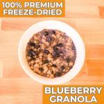 Nutristore Freeze-Dried Blueberry Granola | Emergency Survival Bulk Food Storage Meal | Perfect for Everyday Quick Meals and Long-Term Storage | 25 Year Shelf Life | USDA Inspected (1-Pack)
