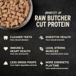 Vital Essentials Freeze-Dried Raw Beef & Salmon Meal or Mixer Dog Food Soft Nibs | 99% Beef, Salmon, Organs & Bone |14 oz