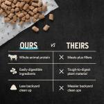 Vital Essentials Freeze-Dried Raw Beef & Salmon Meal or Mixer Dog Food Soft Nibs | 99% Beef, Salmon, Organs & Bone |14 oz