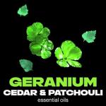 AXE Fine Fragrance Body Spray Variety Pack 4 Pack Everyday Essentials - Emerald Sage, Aqua Bergamot, Purple Patchouli, Pure Coconut Aluminum Free 4 oz