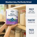 Augason Farms Freeze Dried Whole Blueberries Can