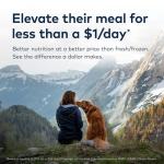 ZIWI Peak Air-Dried Dog Food – Chicken - All Natural, High Protein, Grain Free, Limited Ingredient w/ Superfoods (16oz)