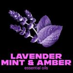 AXE Fine Fragrance Collection Antiperspirant Deodorant for Men Blue Lavender 72 Hour Sweat & Odor Protection 2.6 oz