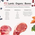 Stella & Chewy's Freeze-Dried Raw Lamb Meal Mixers- Dog Food Topper and Mixer - Made with 95% Grass-Fed Lamb, Organs & Bone - Perfect for Picky Eaters - Grain-Free - 18 oz