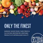 Harmony House Dehydrated Vegetable Sampler – 15 Count Variety Pack, Resealable Zip Pouches, For Cooking, Camping, Emergency Supply and More