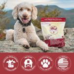 Steve's Real Food Freeze-Dried Raw Nuggets - Beef Recipe - Raw Pet Food for Dogs and Cats - 20 oz