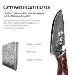 SODEN Damascus Camping Knife,VG-10 Fixed Blade Survival Tool with Bottle Opener for Outdoor, Hunting & Hiking | Full Tang & Ergonomic Handle