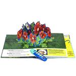 World of Eric Carle, Firefly, Light Up the Sky - Flashlight Pop-Up Adventure Book - Play-a-Sound - PI Kids