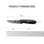 SODEN Damascus Camping Knife, VG-10 Core Full Tang Fixed Blade for Survival & Outdoor Hunting | Ergonomic Rosewood Handle | Premium Knife Tool