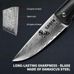 SODEN Damascus Camping Knife, VG-10 Core Full Tang Fixed Blade for Survival & Outdoor Hunting | Ergonomic Rosewood Handle | Premium Knife Tool