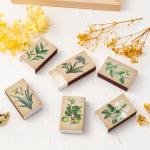 BUoonyer Plant Blank Matches Boxes - 60PCS Match Storage Containers with Double-Sided Striker, Plants Fireplace Matchbook Bulk Holder Decorative for Guests Gift Party Favor (No Matches Included)