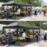 VINGLI 10x20 ft Pop Up Canopy Tent with Sides