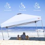 Durable 10'x10' Pop-up Canopy Tent with Sidewall