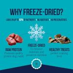 Freeze-Dried Beef Liver Dog Treats - Grain Free