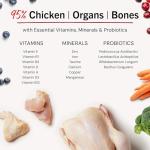 Freeze-Dried Raw Chicken Meal Mixers for Dogs