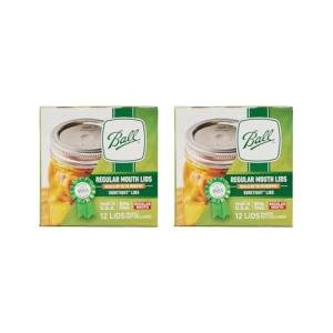 Ball Regular Mouth Mason Glass Jar Lids (24-Count), Silver