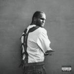 Bottega Trunks (feat. Stove God Cooks) [Explicit]