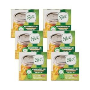 Ball Regular Mouth Mason Jar Lids, 72 Count