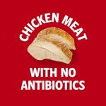 Campbell's Chicken Noodle Soup, 10.75 oz (4-Pack)