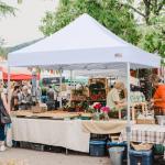 Commercial Grade 10x10 Instant Pop Up Canopy