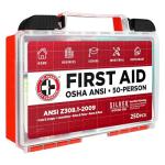 250-Piece First Aid Kit for Home, Office, Car