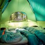 Coleman Sundome 6-Person Tent with Rainfly, Weatherproof Tent Sets Up in 10 Mins