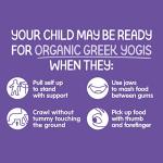 Happy Baby Organics Baby Snacks, Greek Yogis, Freeze Dried Yogurt &Veggie Fruit Snacks, Gluten Free Snack for Babies 9+ Months, Blueberry & Purple Carrot, 1 Ounce