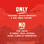 Stella & Chewy's Wild Red Raw Blend Kibble - Premium Freeze-Dried Raw Coated Dog Food - Perfect For Picky Eaters - High Protein Grain Free with 6 Poultry Sources - 3.5lb Bag