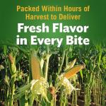 Del Monte Fresh Cut Golden Sweet Whole Kernel Corn, Canned Vegetables, 15.25 oz Can