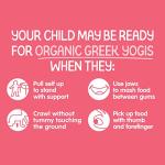 Happy Baby Organics Baby Snacks, Greek Yogis, Freeze Dried Yogurt & Fruit Snacks, Gluten Free Snack for Babies 9+ Months, Strawberry & Banana, 1 Ounce