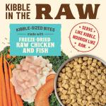 Primal Kibble in The Raw, Freeze Dried Cat Food, Chicken & Fish, Scoop & Serve, Made with Raw Protein, Whole Ingredient Nutrition, Crafted in The USA, Dry Cat Food, 24 Ounce (1.5 lb) Bag