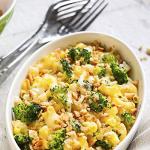 Freeze-Dried Broccoli Florets, 28 Servings Can