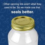 Superb Sealing Solutions Canning Lids - Mason Jar Wide Mouth Lid Toppers Fit Ball and Kerr Jars, 3.25 inch Food Grade with Thick Seals, USA Made, 60 Count, Gold