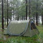 Night Cat Pop-up Camping Tent: 2 Person Tent Waterproof Instant Easy Setup Tunnel Tent