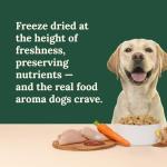 360 Pet Nutrition Freeze-Dried Raw Dog Food – Chicken Recipe with Liver & Organs, High Protein, Omega-3s, Fruits, Veggies & Superfoods, Grain-Free, No Fillers, 3 lb – Made in USA