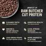 Vital Essentials Freeze Dried Dog Food, Raw Beef Crunchy Mini Nibs | Complete Meal or Topper | 96% Beef, Organs & Bone | Limited Ingredient, High Protein, Grain Free Dry Dog Food | 14 oz Bag