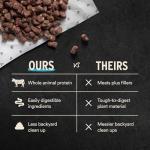 Vital Essentials Freeze Dried Dog Food, Raw Beef Crunchy Mini Nibs | Complete Meal or Topper | 96% Beef, Organs & Bone | Limited Ingredient, High Protein, Grain Free Dry Dog Food | 14 oz Bag