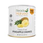 Ready Harvest Freeze Dried Food - Pineapple Chunks | Emergency Storage | Whole Food | #10 Can | 30-Year Shelf Life | Cans Filled to the Top