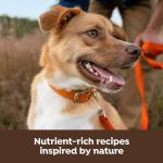 Nature's Recipe Freeze Dried Blend Chicken, Barley & Brown Rice Dry Dog Food, 10.5 lb Bag