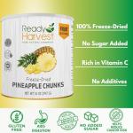 Ready Harvest Freeze Dried Food - Pineapple Chunks | Emergency Storage | Whole Food | #10 Can | 30-Year Shelf Life | Cans Filled to the Top