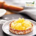 Ready Harvest Freeze Dried Food - Pineapple Chunks | Emergency Storage | Whole Food | #10 Can | 30-Year Shelf Life | Cans Filled to the Top