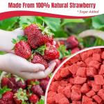 Premium Freeze Dried Strawberries Pieces - 8.82oz 100% Natural Sweet Frozen Strawberrys, No Gluten & No Allergen, Dry Strawberry Pieces Flakes for Snacks, Baking, Cooking, Flavorful