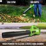 Greenworks 40V 13-Inch Cordless String Trimmer/Edger and Leaf Blower Combo Kit + 3 Bonus Spools, 2.0Ah Battery and Charger Included